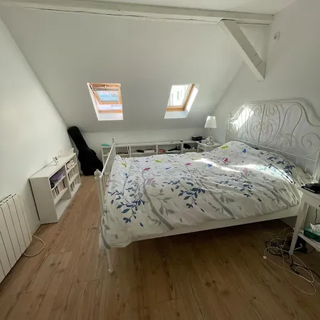 Cozy Townhouse Private Courtyard & Bbq * Schiltigheim
