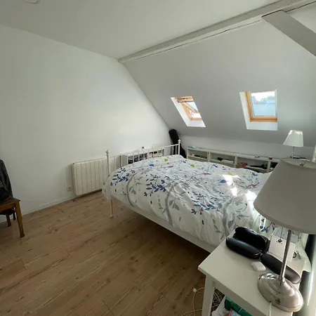 Cozy Townhouse Private Courtyard & Bbq * Schiltigheim