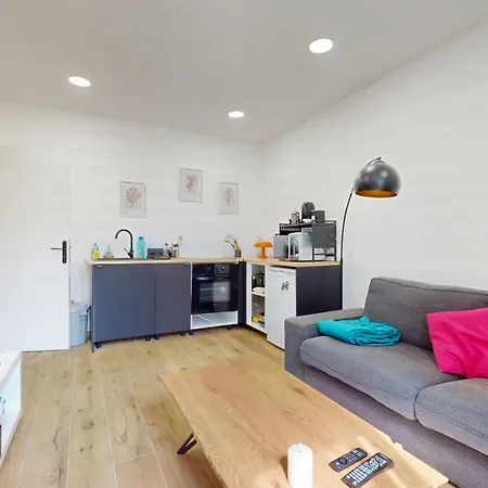 Cozy Townhouse Private Courtyard & Bbq Schiltigheim