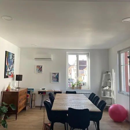 Cozy Townhouse Private Courtyard & Bbq Schiltigheim